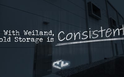 The Importance of Reliable Doors and Windows